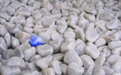 Different people have different needs.